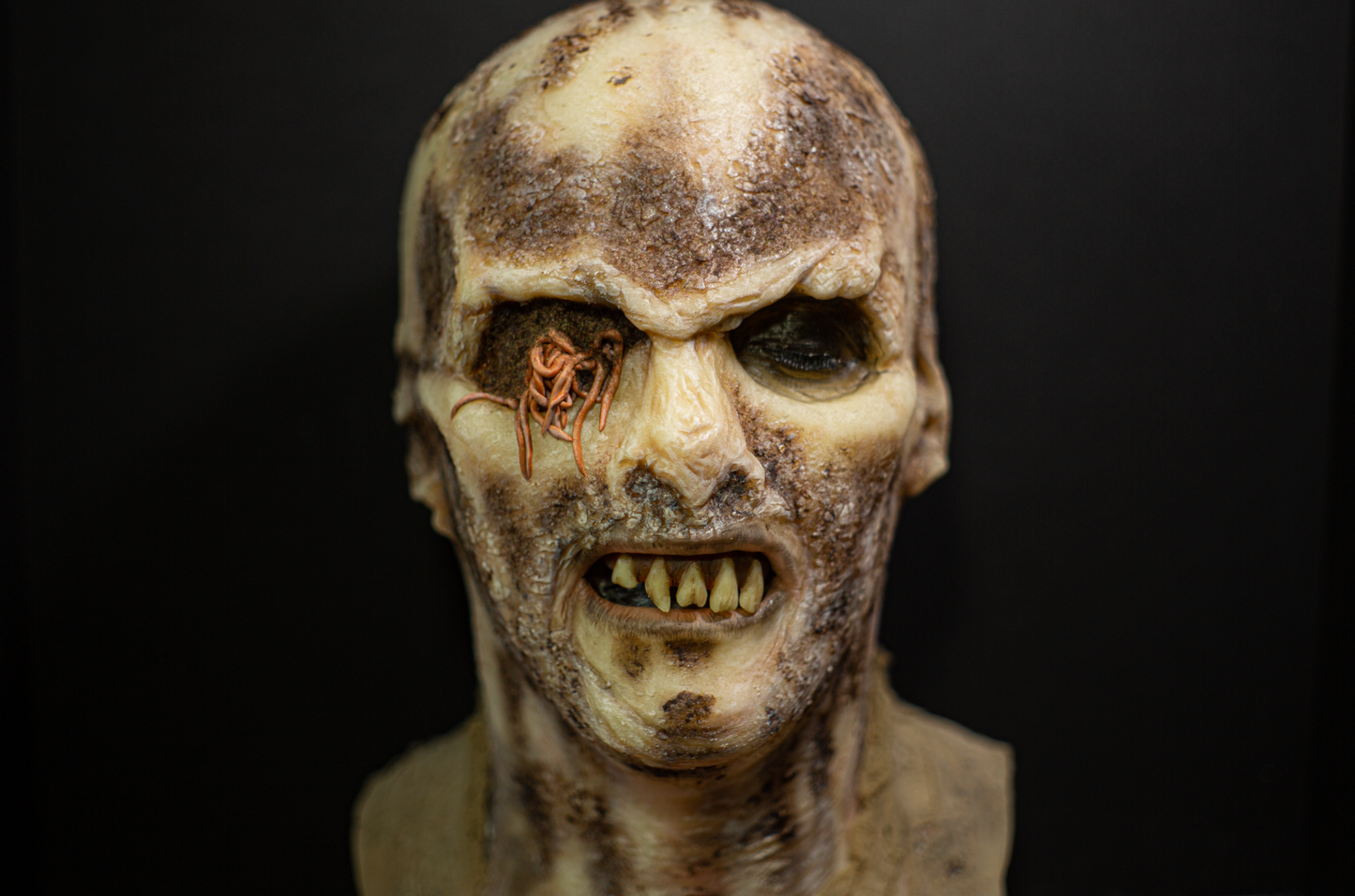 Zombi Flesh eater