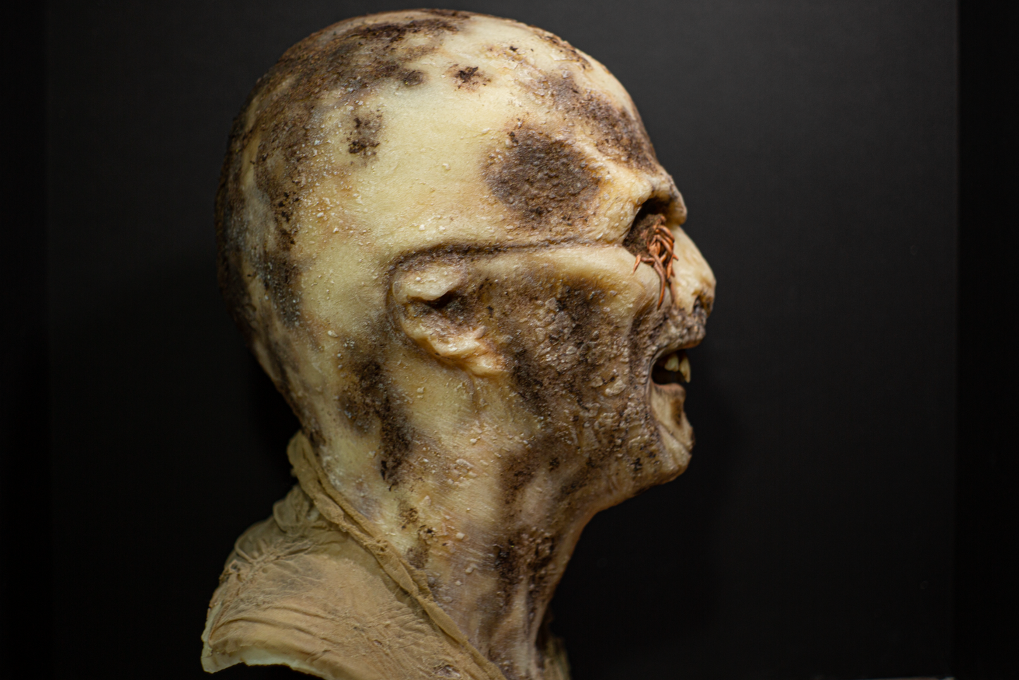 Zombi Flesh eater