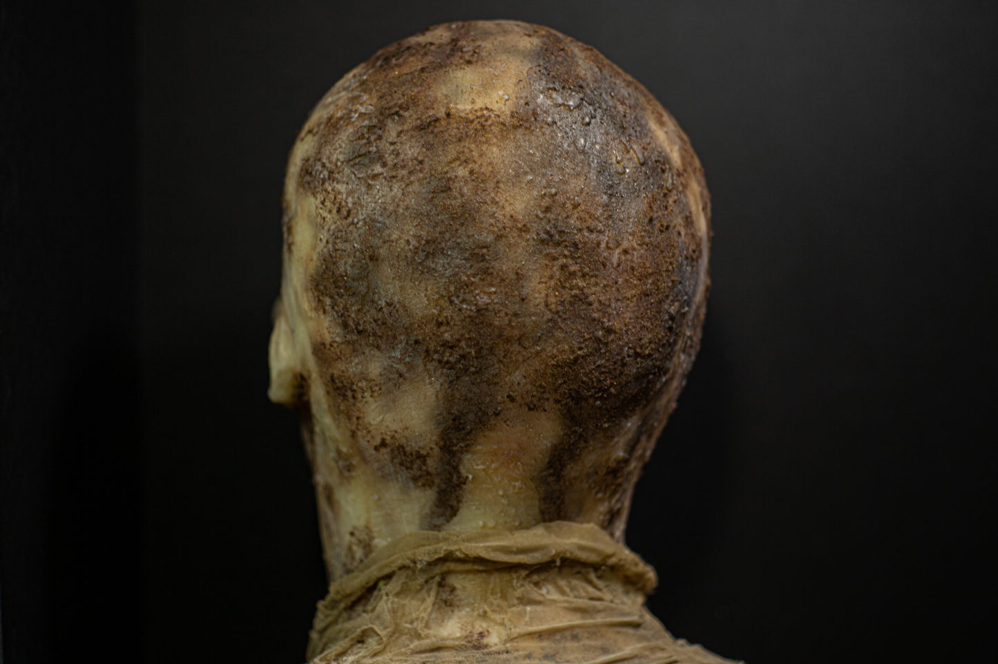 Zombi Flesh eater