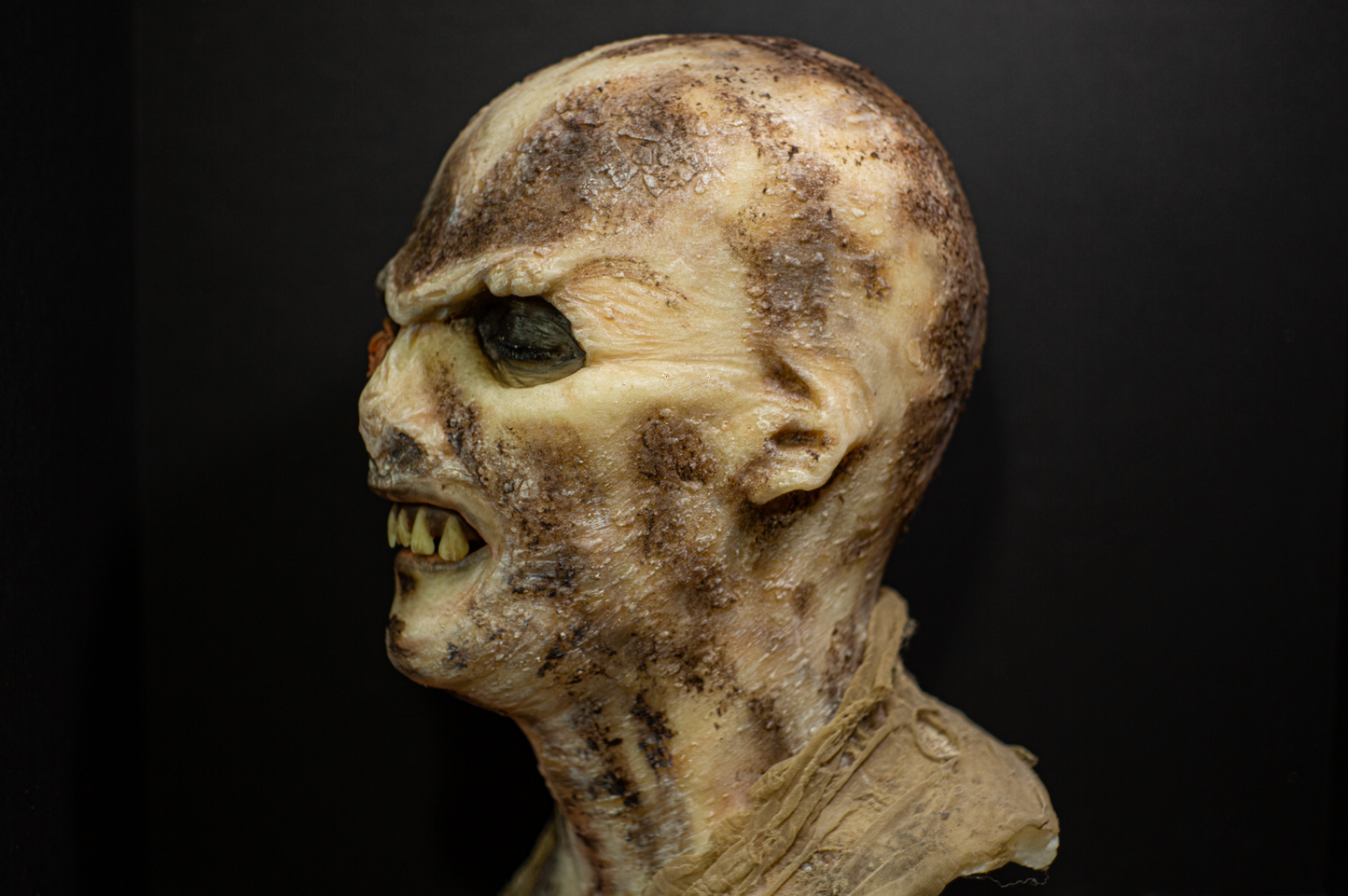 Zombi Flesh eater